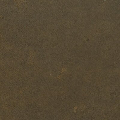 2545 - brew