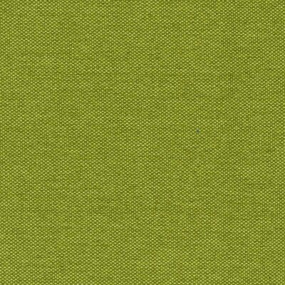 38 - lime