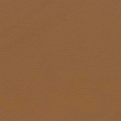 2613D - cognac