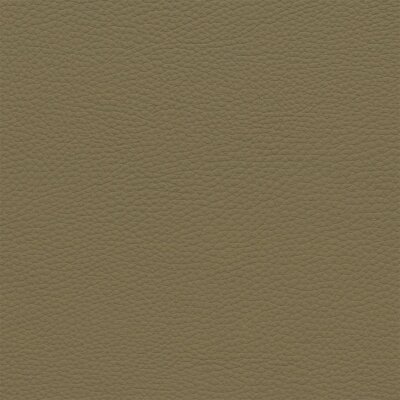 3088D - camel