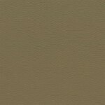 3088D - camel