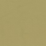 3358D - beige