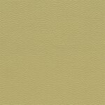 3411D - venetobeige