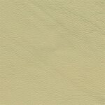 3466D - creambeige