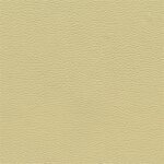 3499D - canberrabeige