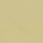 3499D - canberrabeige