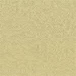 3499D - canberrabeige