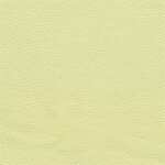 3722D - lemon
