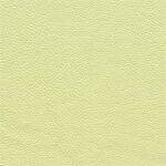 3722D - lemon