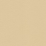 1356 - champagner