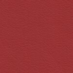 1389 - sportrot