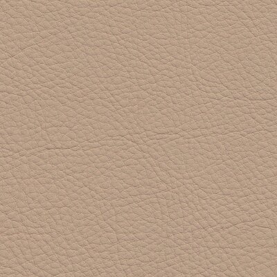 1384 - sandbeige/java
