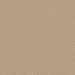 1384 - sandbeige/java