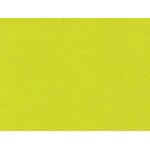 1258 - acidgreen