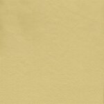 3438 - samtbeige