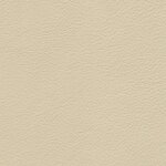 1661 - cremebeige/sahne