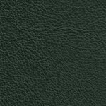 2450 - dunkelgrün