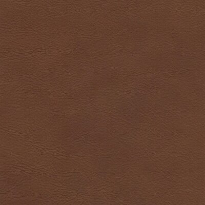 2577 - tan