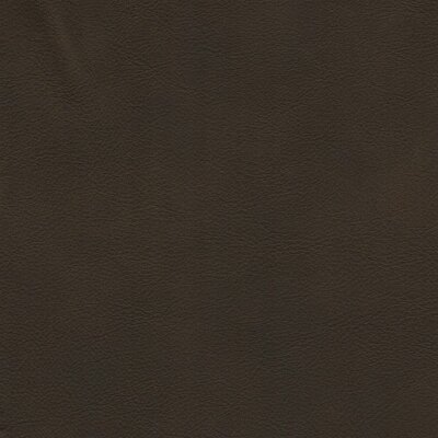 7248 - olivio