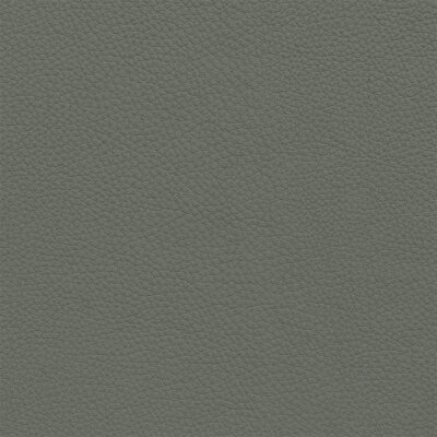 1418D - grau