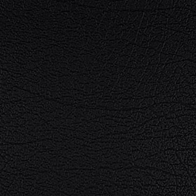 217 x 848