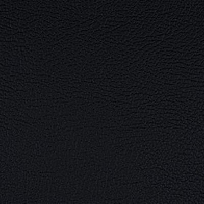 218 x 1981