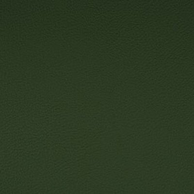208 x 4119