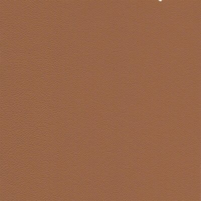 2517 - cinnamon
