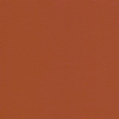 4848 - coral