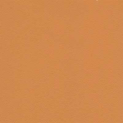 8205 - curry