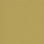 8415 - canary