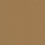 8418 - mustard