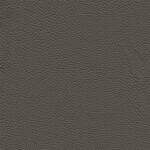 1516 - gris