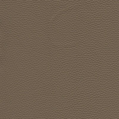 1562 - cotta
