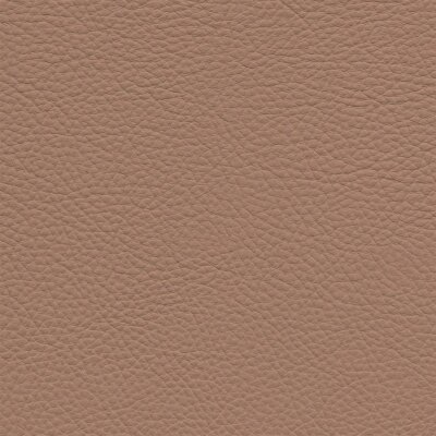 2642 - sahara