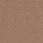 2642 - sahara
