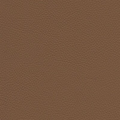 2794 - pecan