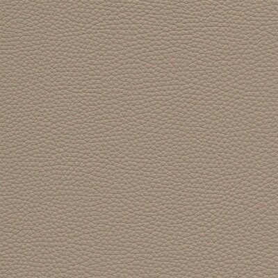 3713 - ivory