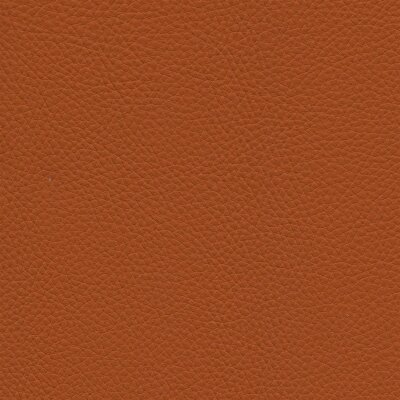 4856 - safran