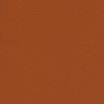 4856 - safran