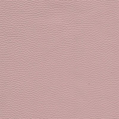 4913 - rosa
