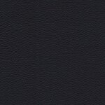 5211 - ocean