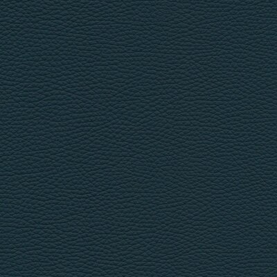 5856 - petrol