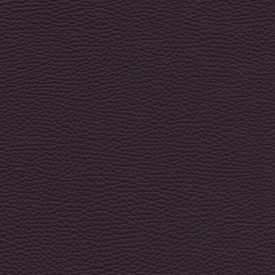 6194 - brombeer