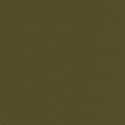 7639 - avocadi