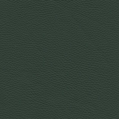7796 - grünspan