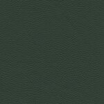 7796 - grünspan