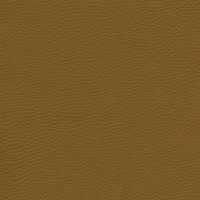8043 - senf