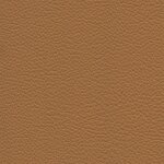 8424 - mango