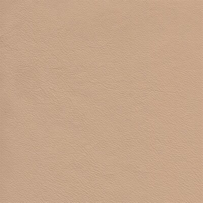 2955 - nougat